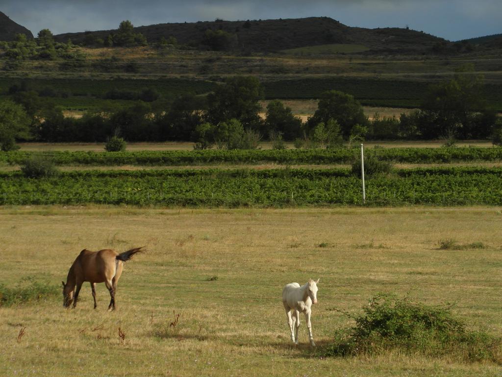Bergerie Du Plo Villa Montlaur  Bagian luar foto