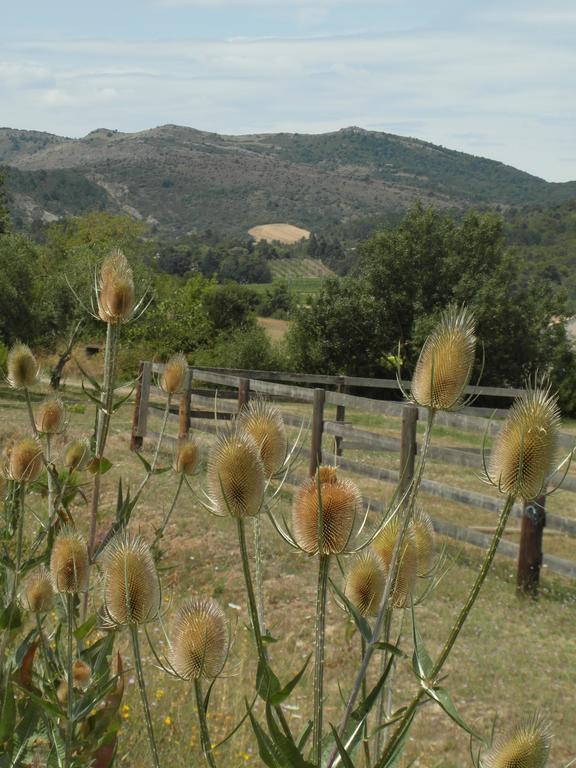 Bergerie Du Plo Villa Montlaur  Bagian luar foto
