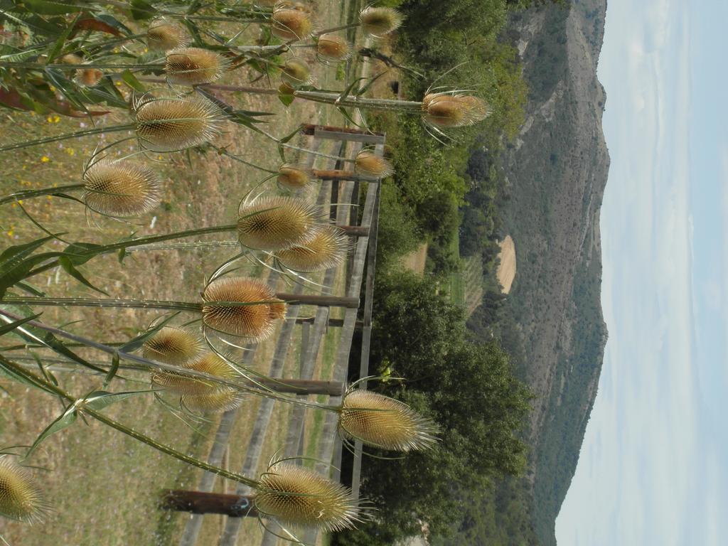 Bergerie Du Plo Villa Montlaur  Bagian luar foto