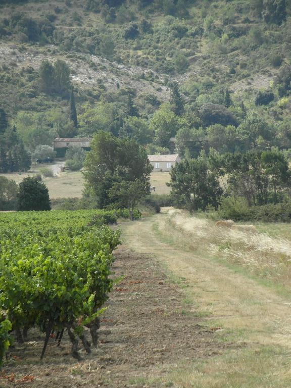 Bergerie Du Plo Villa Montlaur  Bagian luar foto